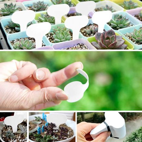50 Pcs T-Type Plantes étiquettes blanc Étiquettes d'étiquettes de Jardin Marqueurs de Plantes en Plastique pour Herb 5 x 7 cm (1/5)