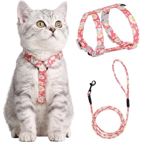 Cat Leash Harness (S, Pink) Adjustable 145 cm Rope Lead for Kitten Cat Adult (1/5)