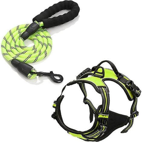 Verstellbares, reflektierendes grünes Hundegeschirr mit Leine – Ideal für Spaziergänge und Training – Mittlere Größe (1/5)