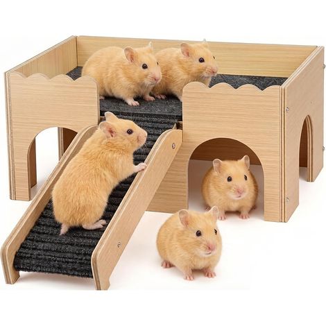 Maison en bois 3 en 1 pour cobayes avec échelle et cachette, structure d'escalade pour petits animaux, cachette amovible pour hamsters et chinchillas, jouet naturel pour cobayes. (1/5)