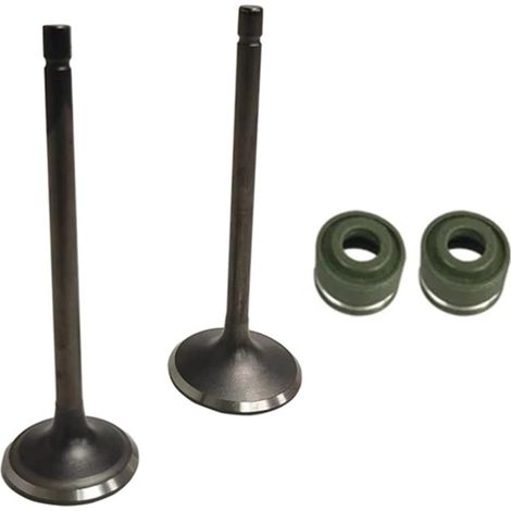 Joint d'huile de rechange pour soupapes d'échappement de moteur de moto CG250 250CC (1/5)