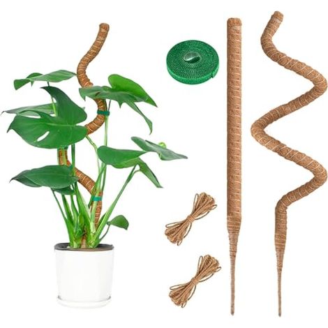 Lot de 2 tuteurs en fibre de coco flexibles 95 cm avec accessoires pour plantes grimpantes intérieures (1/4)