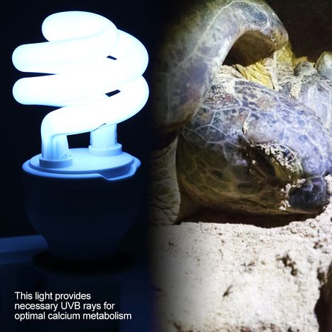 Lampe chauffante compacte à lumière UVB5.0-10.0 pour reptiles, lézards et tortues, 220-240 V (10 W) (1/5)