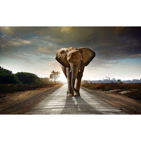Tableau moderne elephant on the road, 80x50cm (1/5)