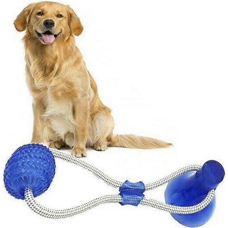 Jouet à mâcher pour chien avec ventouse pour une mastication silencieuse (1/3)