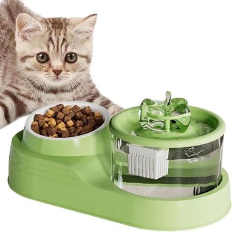 Fontaine Eau et Bol de Nourriture pour ChatsurlevDistributeur deau Automatique pour Animauxmangeoire Robuste pour FONTAINE A EAU (1/4)