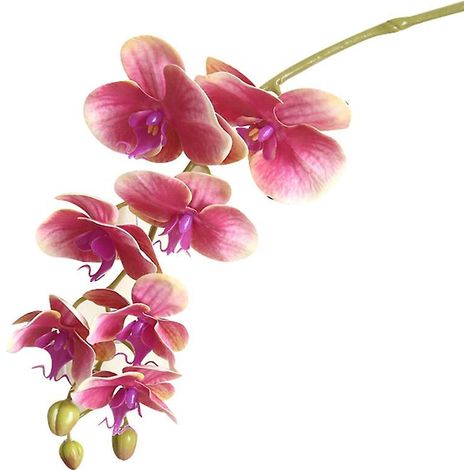 fleur artificielle papillon orchidée décoration DIY mariage fête bureau maisonrose foncé (1/5)