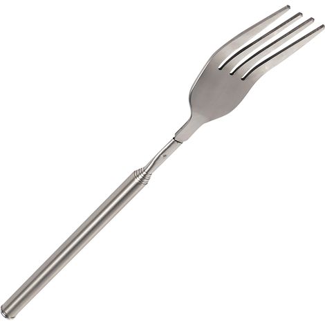 Teleskop-Gabel zum Grillen, ausziehbar, für Abendessen, Obst und Desserts, mit langem Griff, Edelstahlbesteck (1/5)
