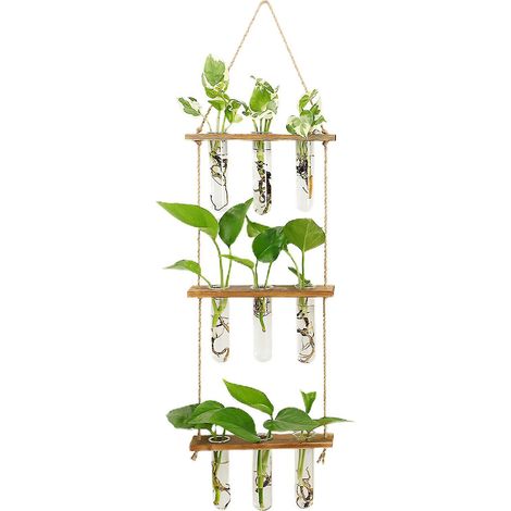 Wandmontierte Glasvase für Hydrokultur – Blumentopf – Braun