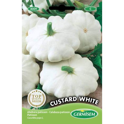 graines Patisson Custard White EC4009 Multicolore (1/2)