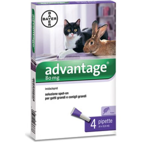 ADVANTAGE SPOT ON 80 GATTI OLTRE 4 KG