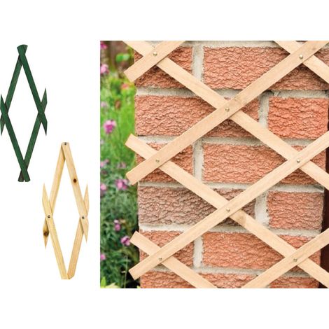 Traliccio Estensibile In Legno Per Piante Rampicanti Recinzione Giardino Balcone, misura100x300coloreNaturale (1/5)