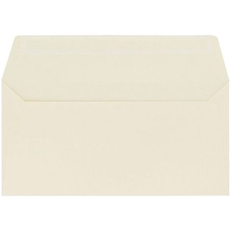 Enveloppe Pollen Clairefontaine ivoire 110 x 220 - Boîte de 200