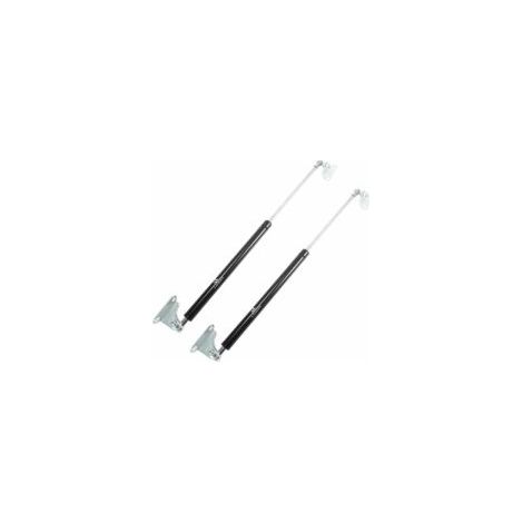 2pcs Verin à Gaz 445N Universel Amortiss à Gaz Charnière Levage de Porte 500mm Longue Noir