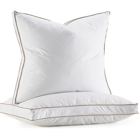 Deodar Lot de 2 Oreillers en Plumes 65 x 65 cm, Housse en Coton (1/5)