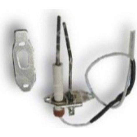 Conjunto electrodos Bluehelix Pro 25C