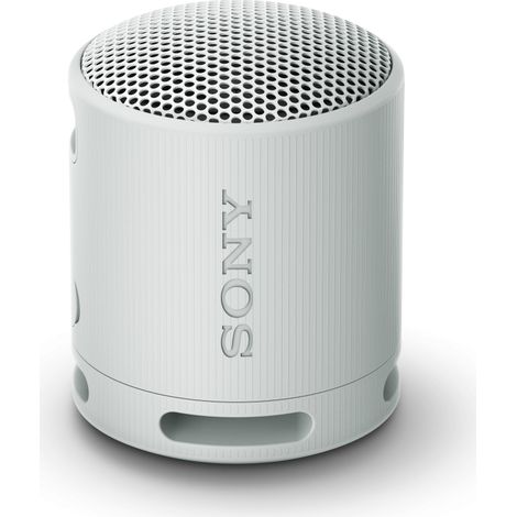 Sony SRS-XB100H, grau