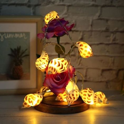 Lichterkette – Schweiz – 10 LEDs – Naturmuschel – Warmweiß – IP43 wasserdicht (1/5)