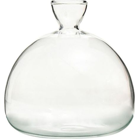 Vase à Culture D'Avocat En Verre, Pot De Germination Hydroponique Pour Jacinthes, Décoration Domicile, Cadeau Pour Amateurs De Jardinage (1/5)