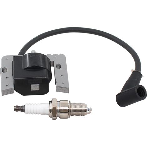 Zündspule und Zündkerze für Tecumseh OHV130 OHV125 36344A OHV 125 OHV110 OHV120 OHV135 OHV140 OHV150 OHV155 (1/5)
