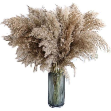 Fleurs artificielles et bouquets, 20 Pièces Herbe de la Pampa 60 CM Séché Naturellement Mariage Fleur Bouquet de la Tendance Pampa Seche Artificielles Fleur Bouquet de Fleurs Sechees pour Décor À Mais (1/5)