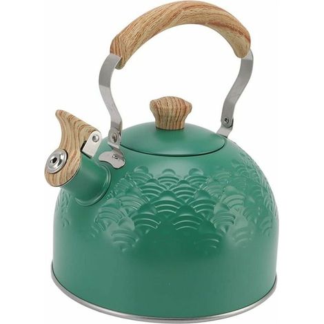 Whistling kettle made of stainless steel, 2.5 l, for wood, induction and gas stoves (1/5)