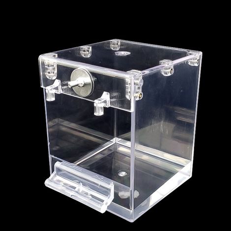 Bain d'oiseaux suspendu avec cage et jouet de baignoire pour perruches, calopsittes et inséparables, avec vue transparente, pour les oiseaux gris