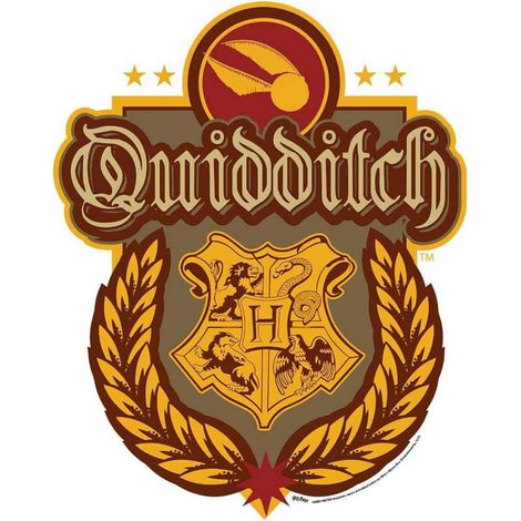 Blason en carton Jeu Quidditch Poudlard Harry Potter 61X50 CM (1/5)