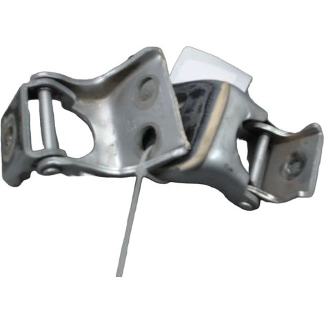 Charnière Porte Arg DACIA Spring [PRODUIT D'OCCASION]♻️804205044r (1/2)