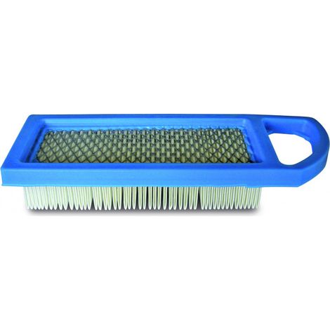 Filtro aria Briggs e Stratton 697014, 697153, 698083, 795115, 697634, 794422, 797008, 284H07, 285H07, 31H700