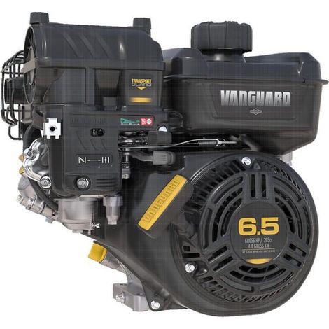 Moteur BRIGGS ET STRATTON 12V3320007F1 (1/4)