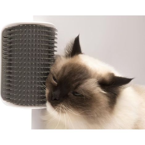 Brosse/Auto Toiletteur pour Chat (1/3)