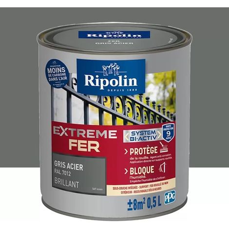 Peinture Fer RIPOLIN Extreme Fer Bi-Activ Gris Acier 0,5 L (1/3)