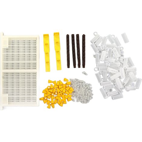 Kit d'élevage de reine des abeilles, ensemble de cadres de tasses de cellules pour apiculteurs