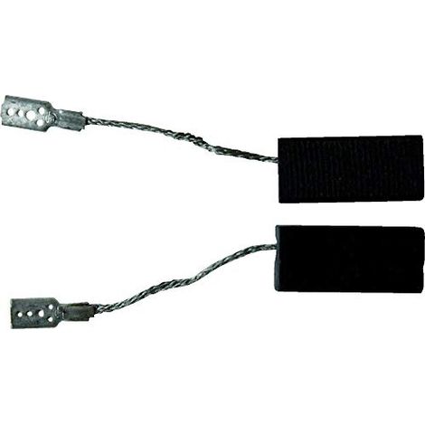 BOSCH 1607014171 LOT DE 2 BALAIS À CHARBON