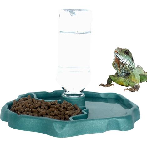 Abreuvoir pour Reptiles Abreuvoir détachable 2 en 1 Bol De Nourriture Pour Lézard pour Gecko, Serpent, Tortue, Grenouille, Caméléon de Compagnie, Terrarium Maison (1/5)
