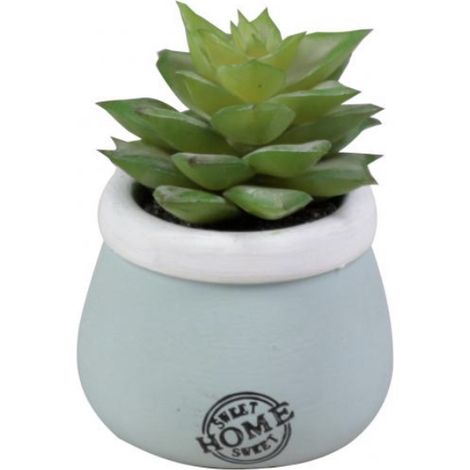 VASO CON PIANTA GRASSA D.5,5XH8CM CERAMICA AZZURRA