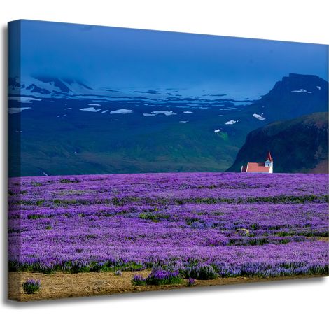 Leinwanddruck Natur Lavendelfeld 40x30 cm Lila Blüten