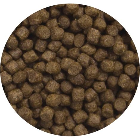 Ubbink Mangime per pesci Heiko Koi Energy Menu 6 mm 3 L (1/3)