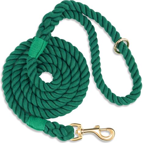 Laisse pour Chien de 1,5 m, Vert ,fabriquée à la Main, en Corde de Coton tressée, avec poignée en Cuir, pour Chiens de Petite