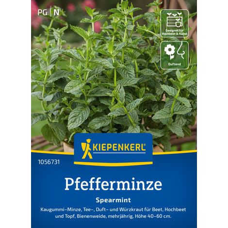 Kiepenkerl Kräutersamen Pfefferminz Spearmint für ca. 200 Pflanzen (1/2)