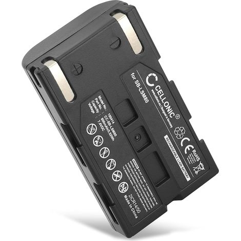 Batterie Compatible avec Samsung SC-D263, SC-D351, SB-LSM160 (1/5)