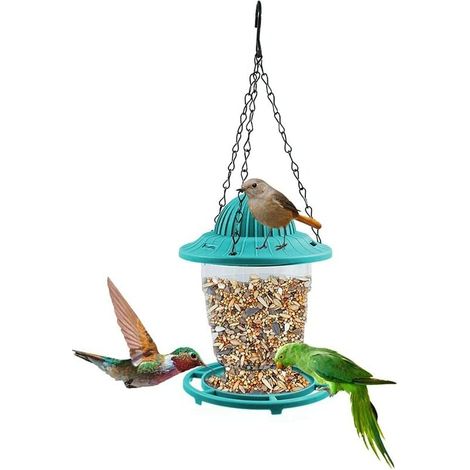 Mangeoire à oiseaux sauvages à suspendre, mangeoire à colibri pliable, petite mangeoire à oiseaux panoramique, avec chaîne en métal et crochet, pour décoration extérieure de jardin (vert)