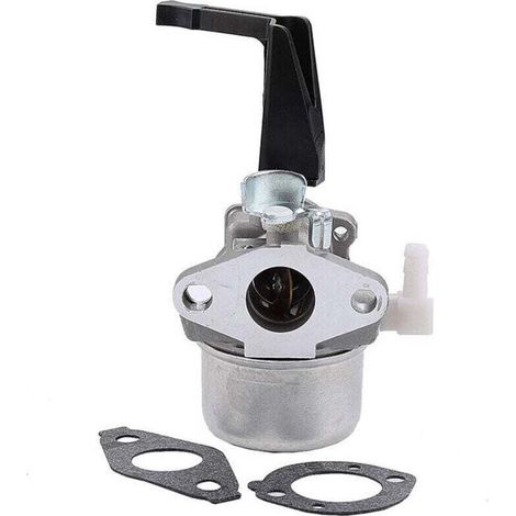 696065 Vergaser für Briggs & Stratton 696065 697422 110402-0206-E1