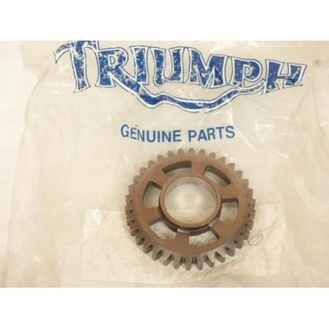 Motorteil verschiedener Herkunft für Motorrad Triumph 955 Speed (1/2)