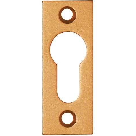 Entrée de cylindre METALUX 4813 Aluminium bronze 65 x 25 x 3 mm (1/2)
