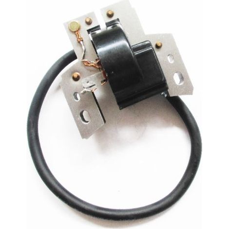 BRIGGS STRATTON kompatible elektronische Zündspule für Rasenmäher EUROPA 802574