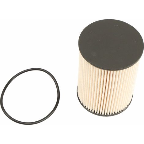 Filtro carburante rapido FT10859 (1/2)