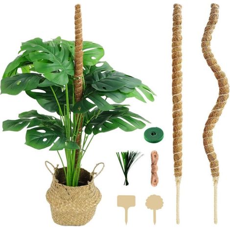 Support de jardin pour Monstera deliciosa et plantes grimpantes (paquet de 4)[YJD] (1/5)