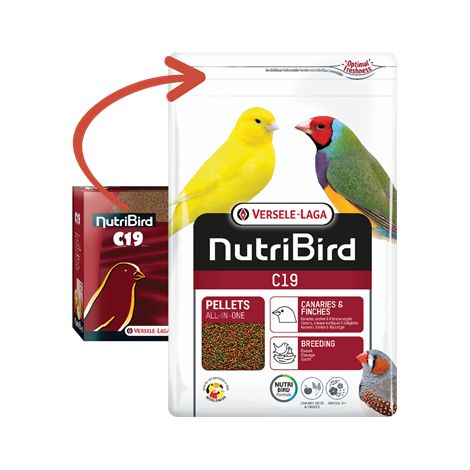 Nutribird C19 - Alimento para cría de canarios 3 kg  Oferta exclusiva (1/2)